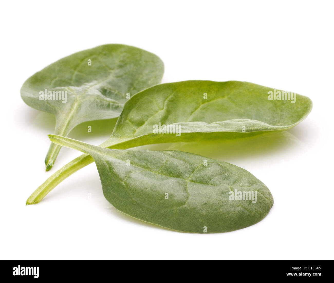 Spinach vegetables isolated on white background cutout Stock Photo - Alamy