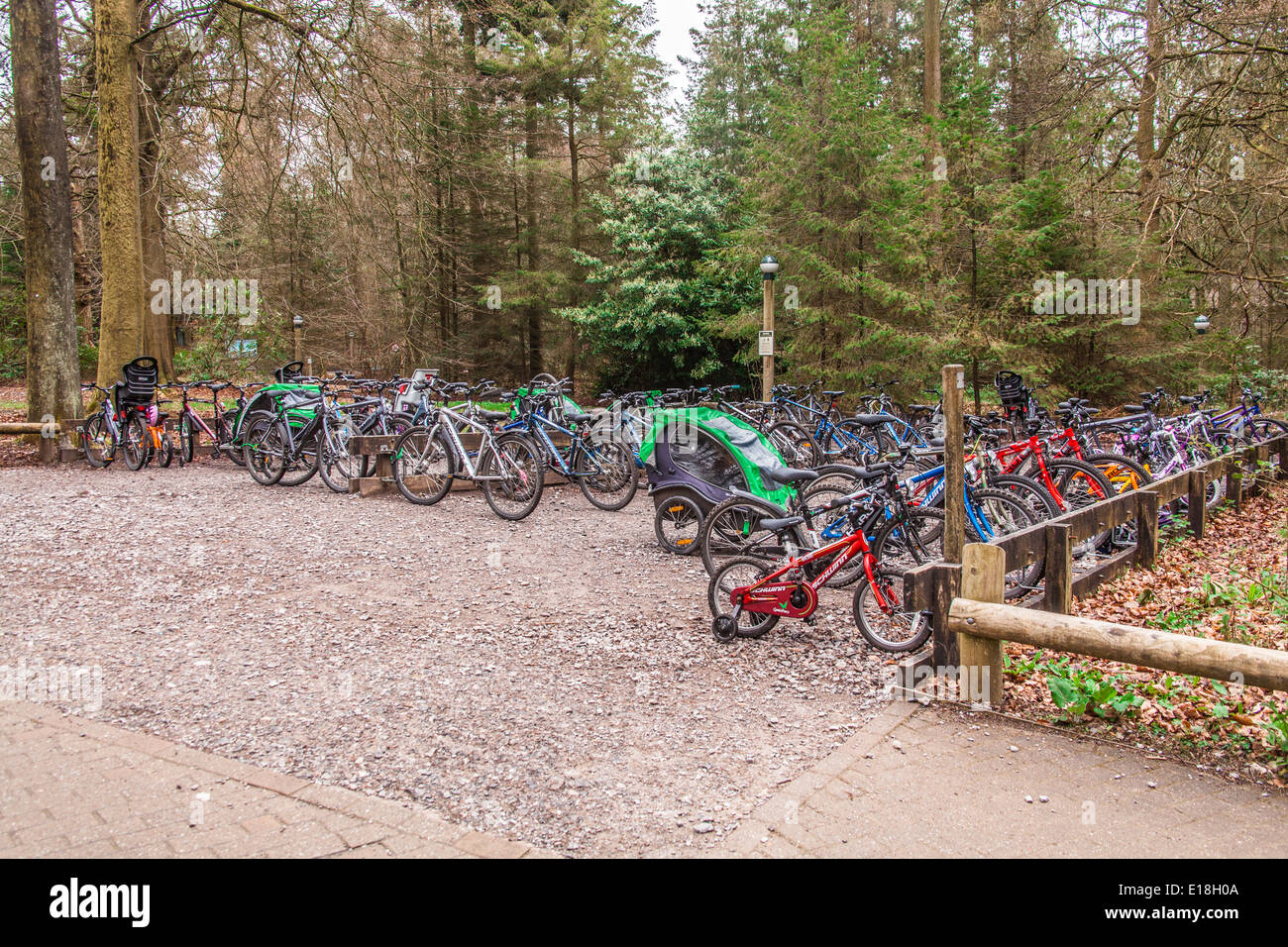 Bikes at Centre parcs, Longleat, Wiltshire, England, United Kingdom. Stock Photo