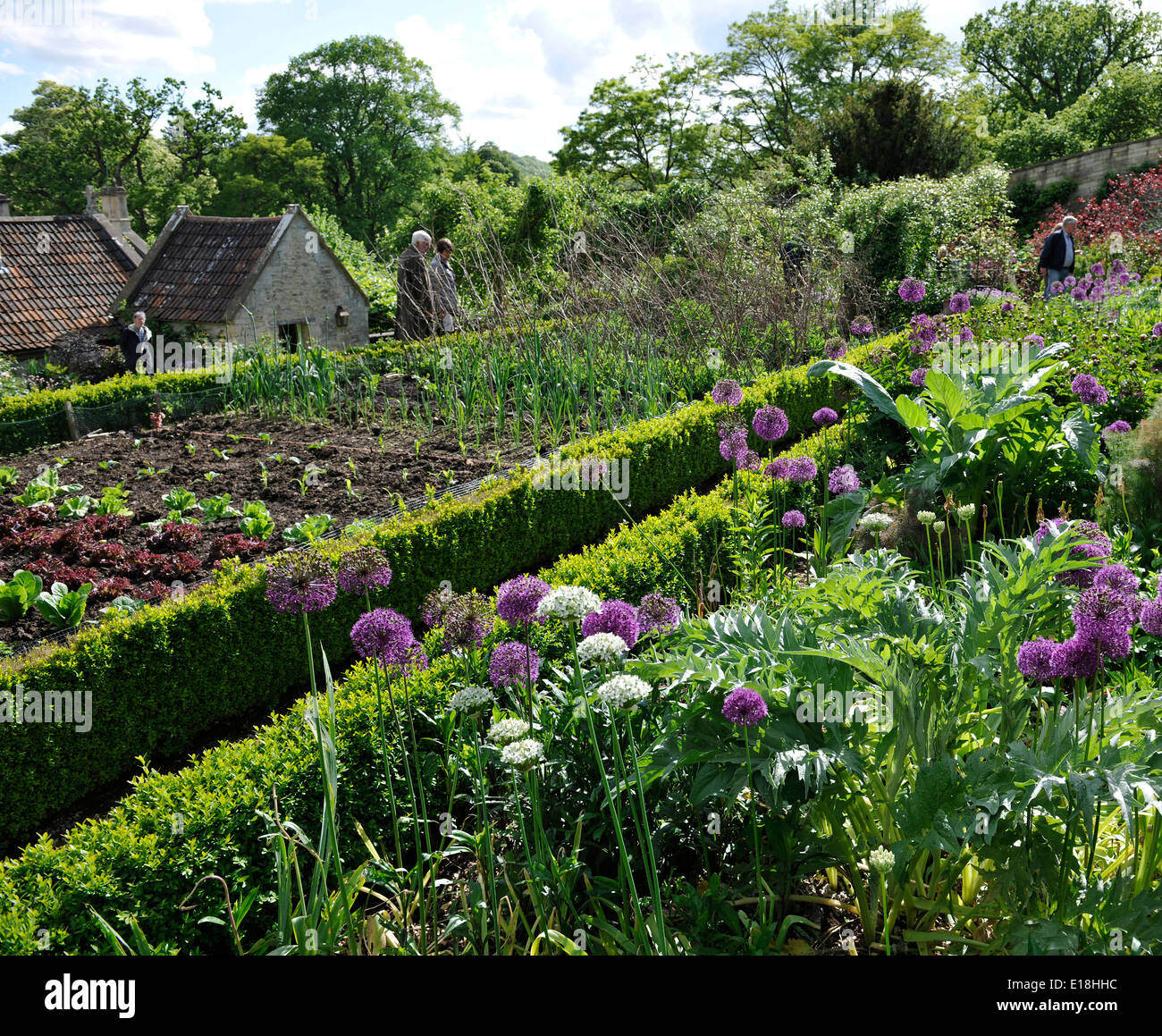 Vegetable garden plots in the landscaped English Gardens of Belcombe Court, Bradford-on-Avon, Wiltshire, UK Stock Photo