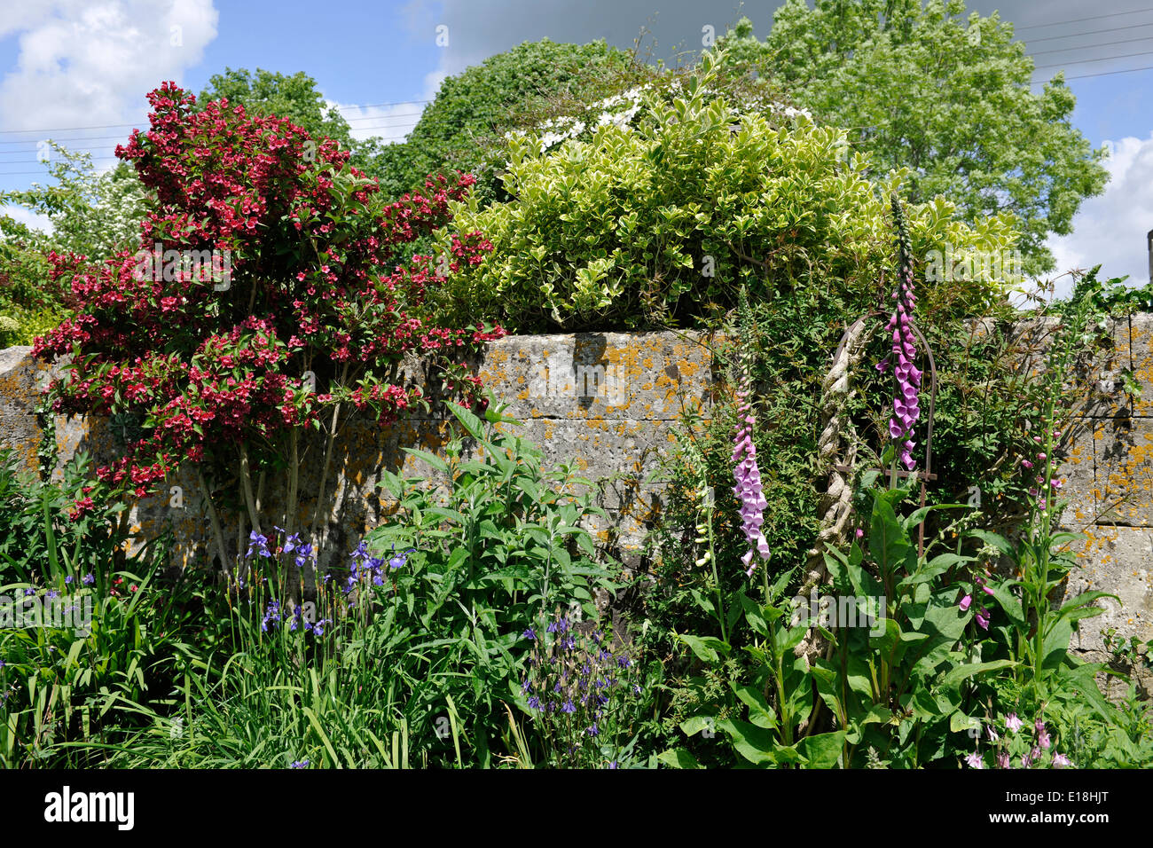 Gardens of Bradford-on-Avon, Wiltshire Stock Photo