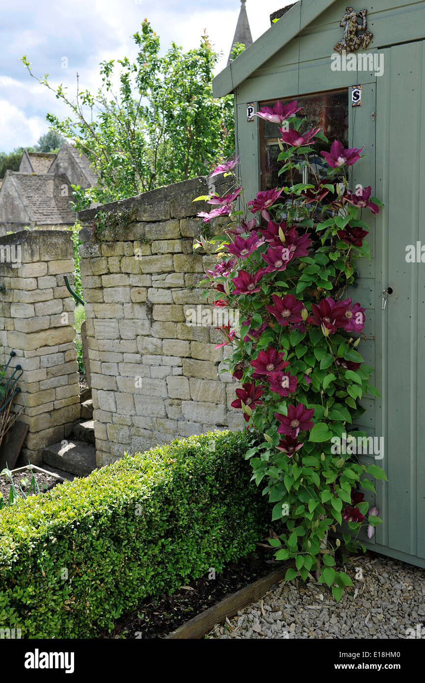 Garden Shed with flowers growing up it, in Bradford On Avon, Wiltshire. Stock Photo