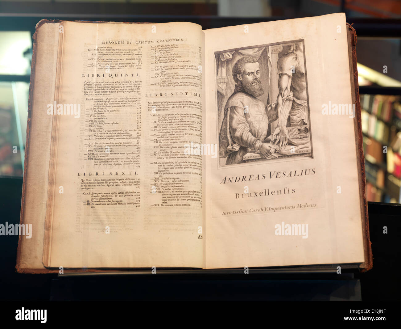Andreas Vesalius, De Humani Corporis Fabrica Libri Septem anatomy book Stock Photo