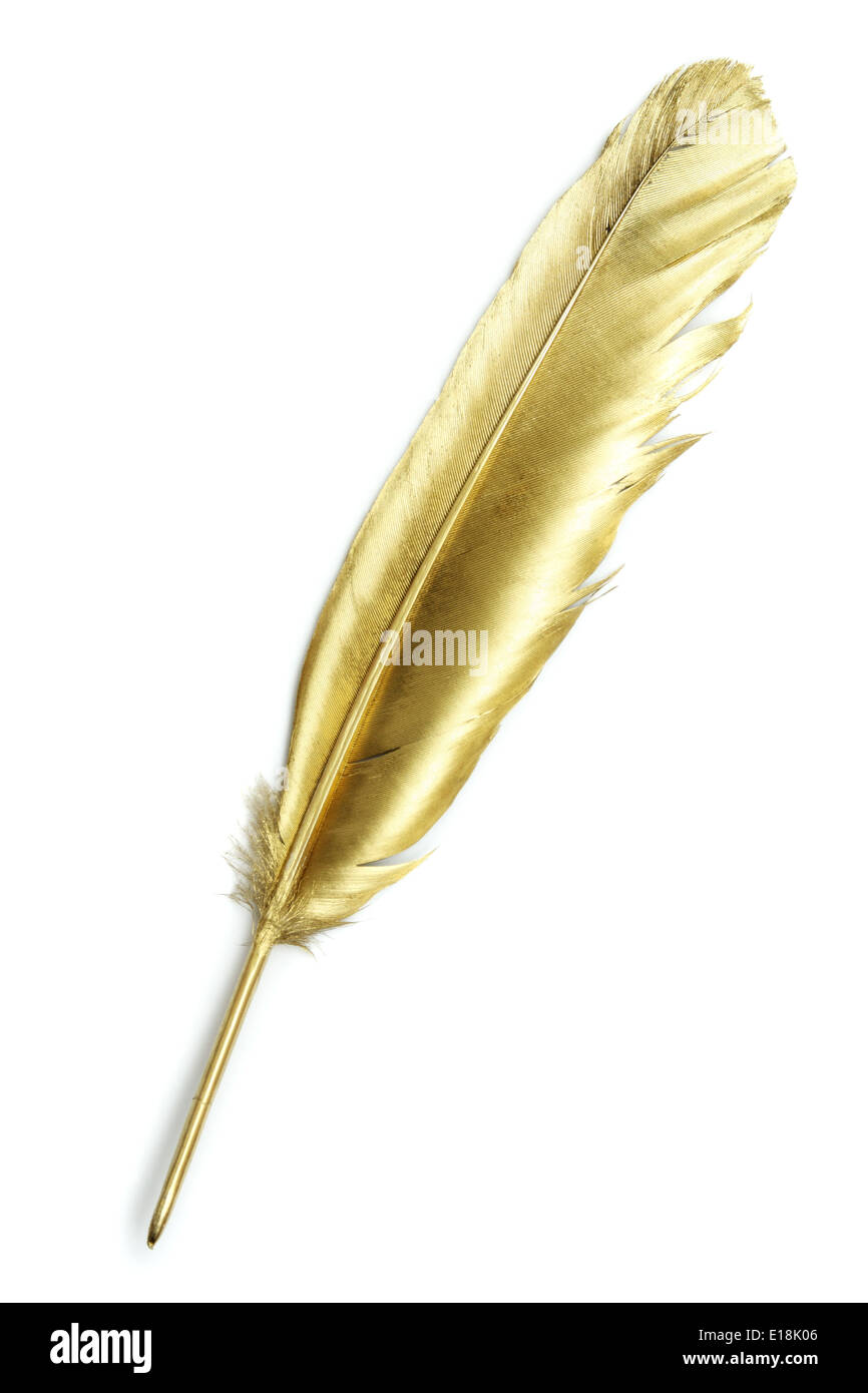 Unusual gold quill pen on a white paper Stock Photo