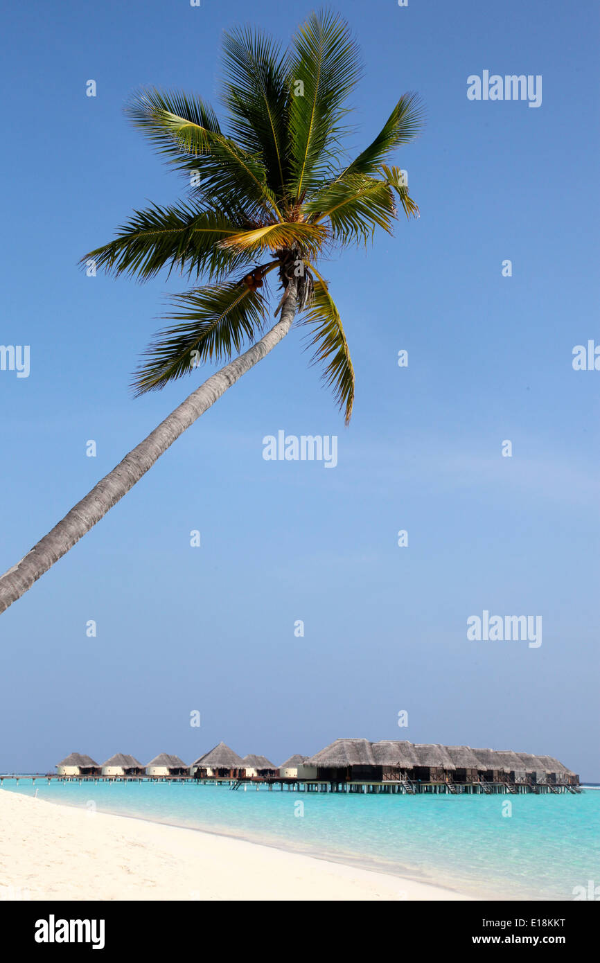 Holidays on the beach stock photo alamy