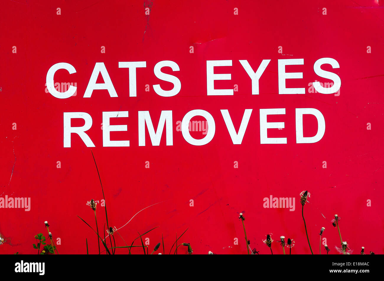 Cats eyes removed technology hires stock photography and images Alamy