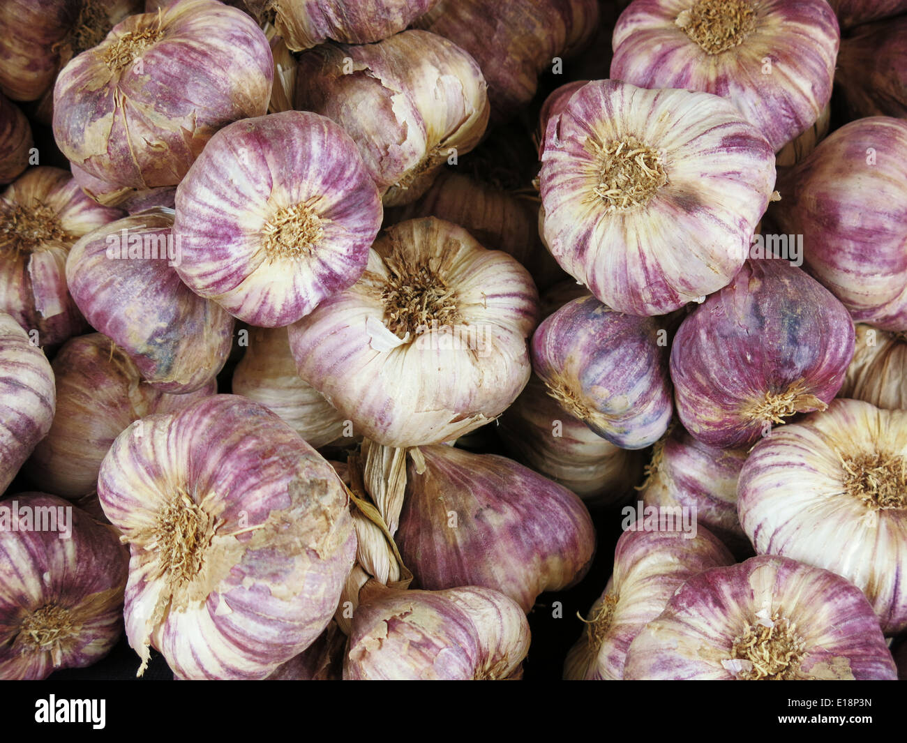 Fine garlic heads Stock Photo Alamy