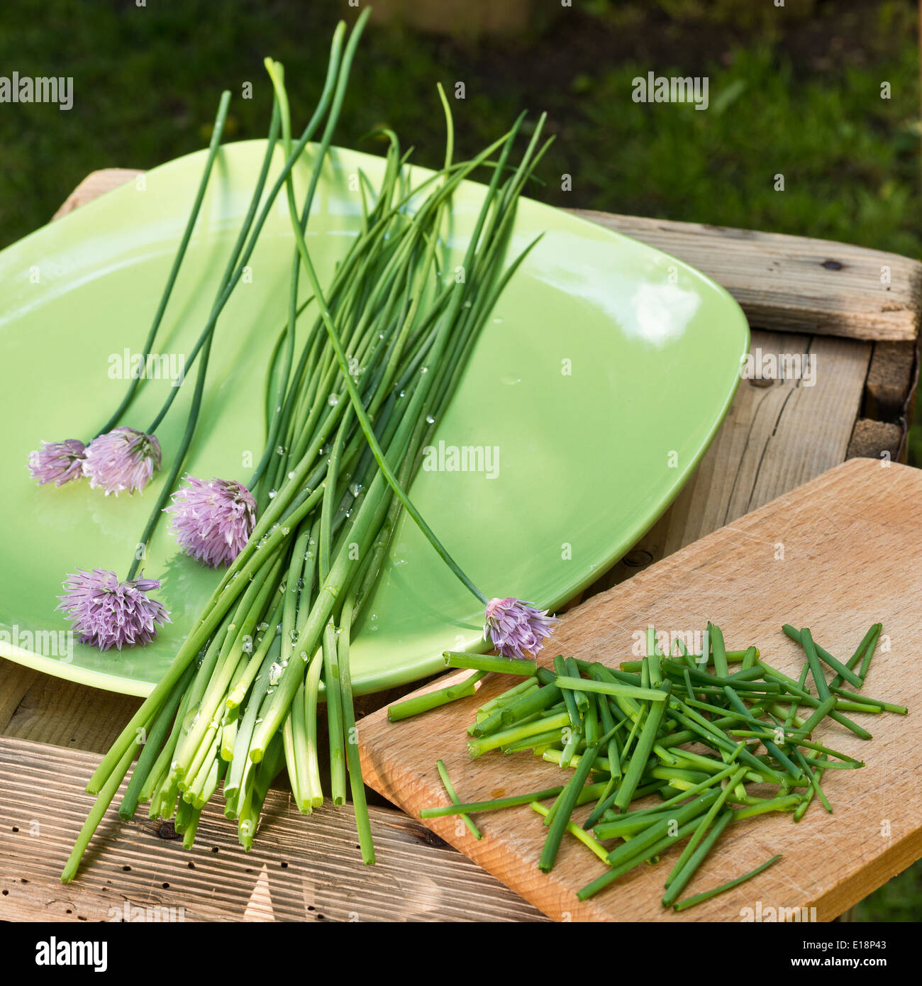 Rough chives hi-res stock photography and images - Alamy