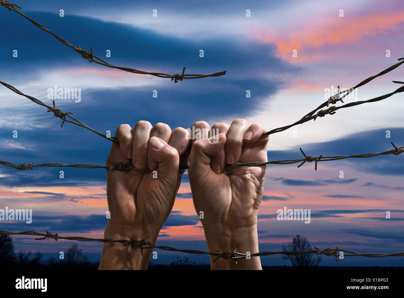 hands behind barbed wire with sunset in the background Stock Photo