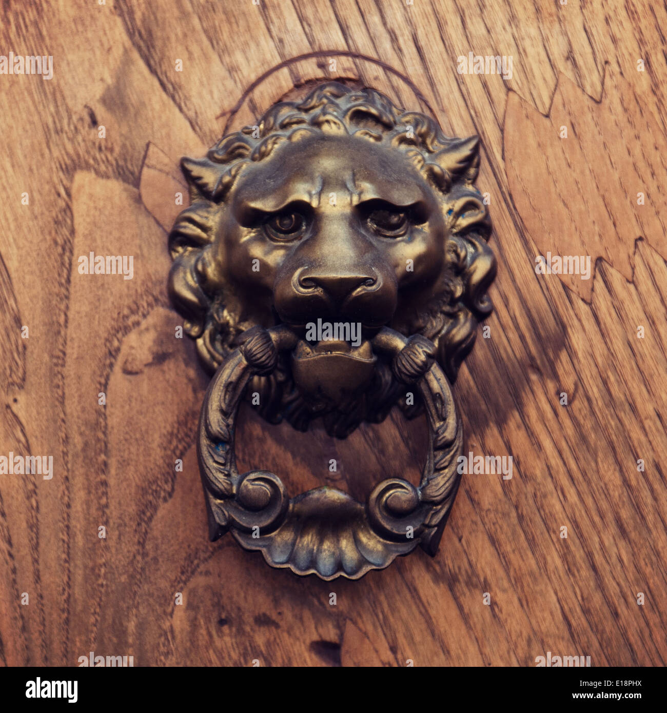 Old fashioned lion head door knob Stock Photo