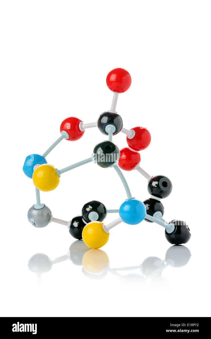 Biological Model Of A Protein Molecule Stock Photo Alamy Biological Model Of A Protein Molecule Stock Photo Alamy