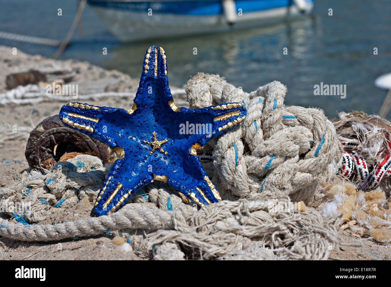 Blue starfish hi-res stock photography and images - Alamy