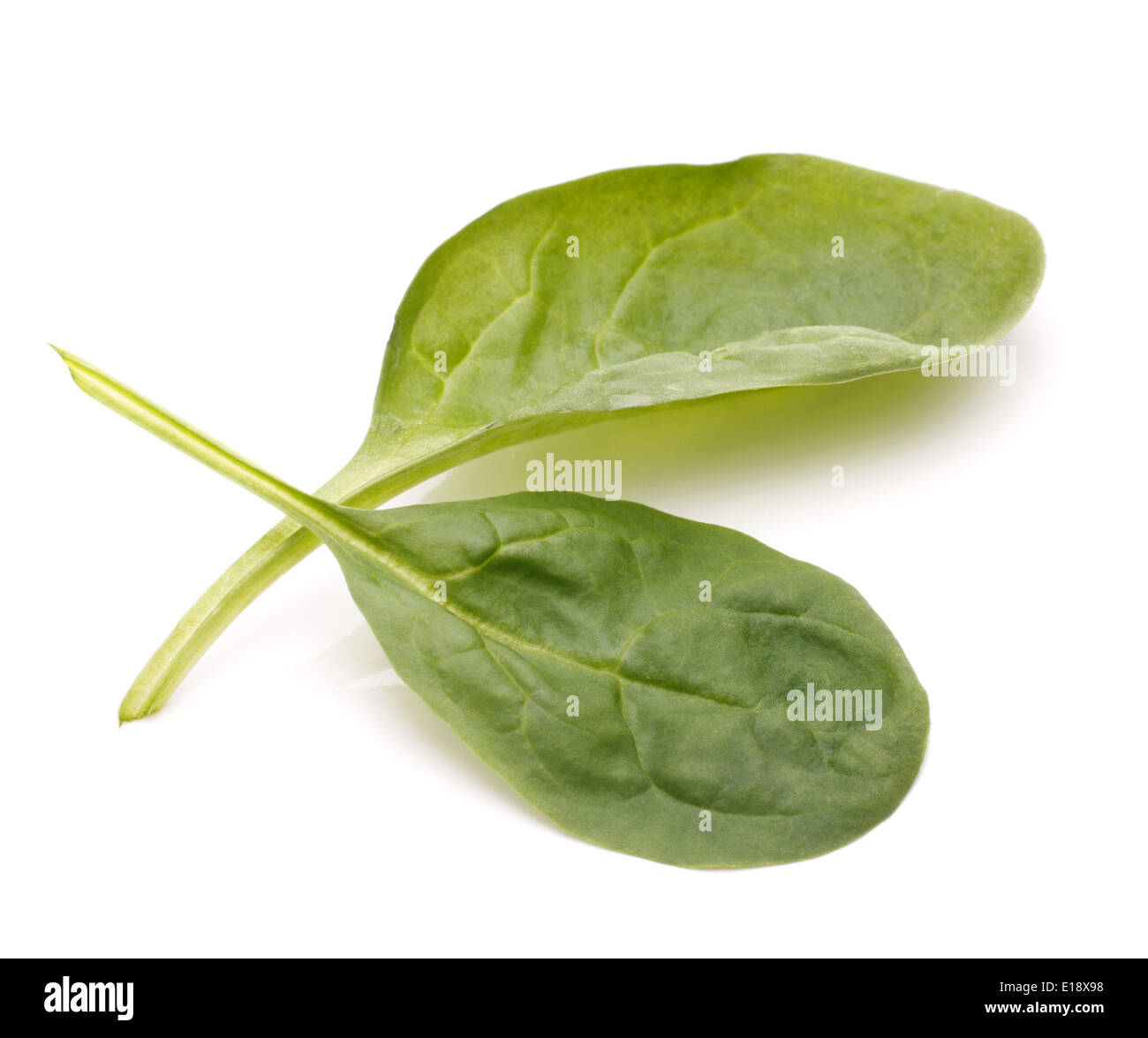 Spinach vegetables isolated on white background cutout Stock Photo - Alamy
