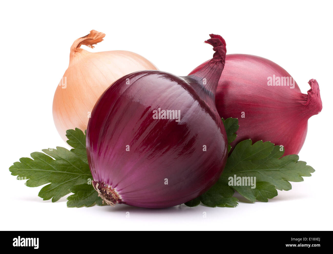 Onion vegetable bulb and parsley leaves still life isolated on white