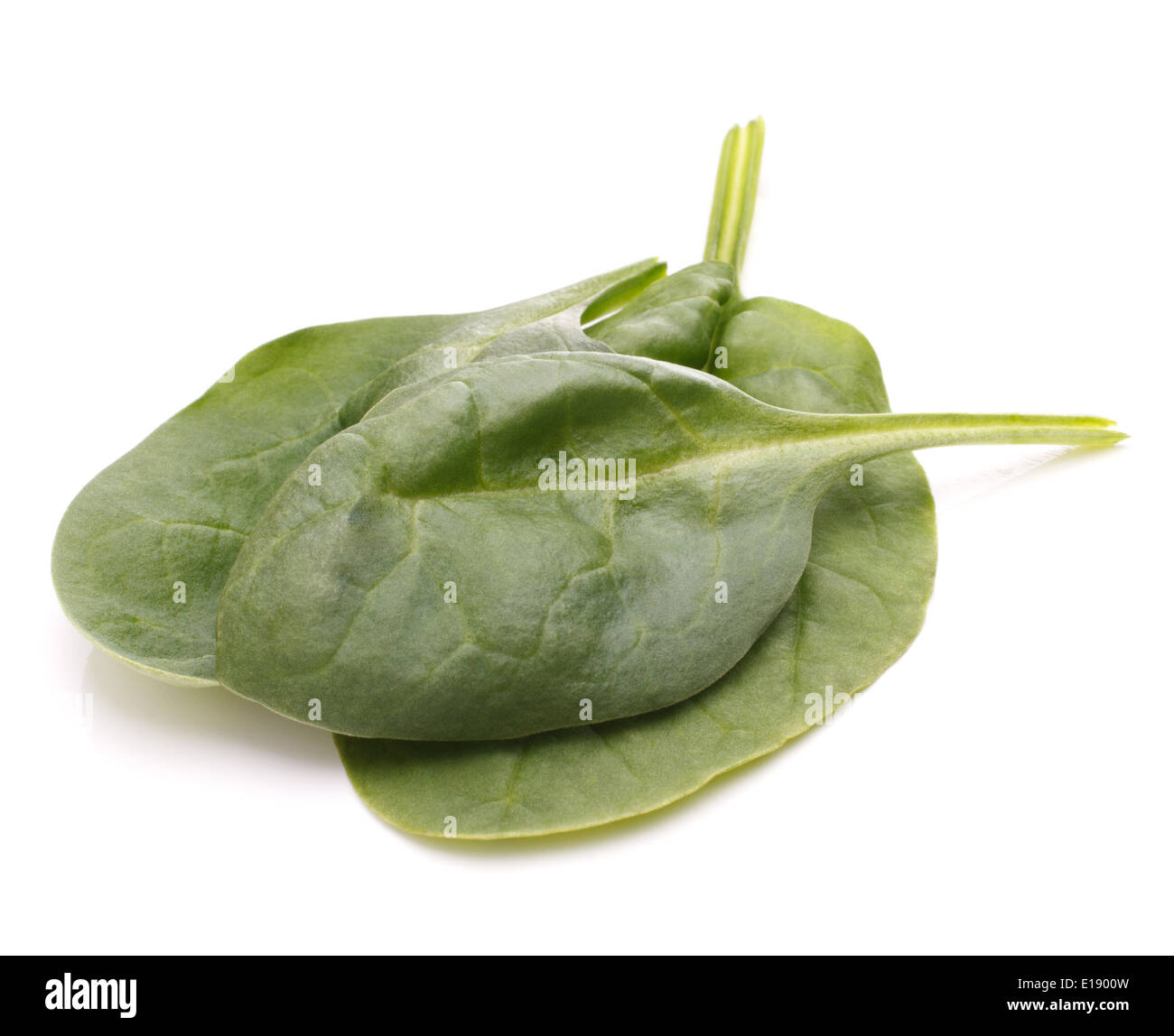 Spinach vegetables isolated on white background cutout Stock Photo - Alamy