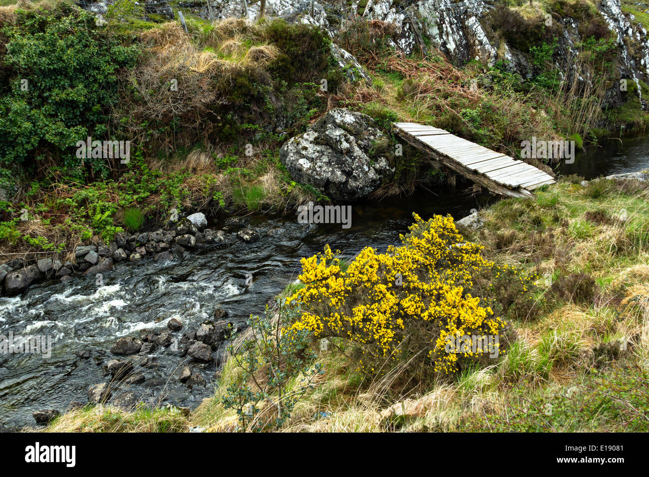 Small foot bridge crossing stream hi-res stock photography and images -  Alamy