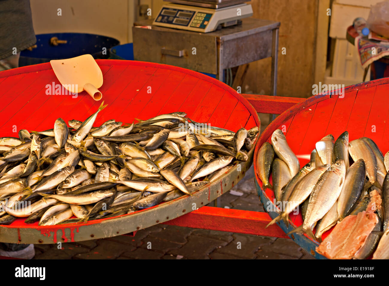 Fresh fish for sale on outdoor Turkish market Stock Photo Alamy