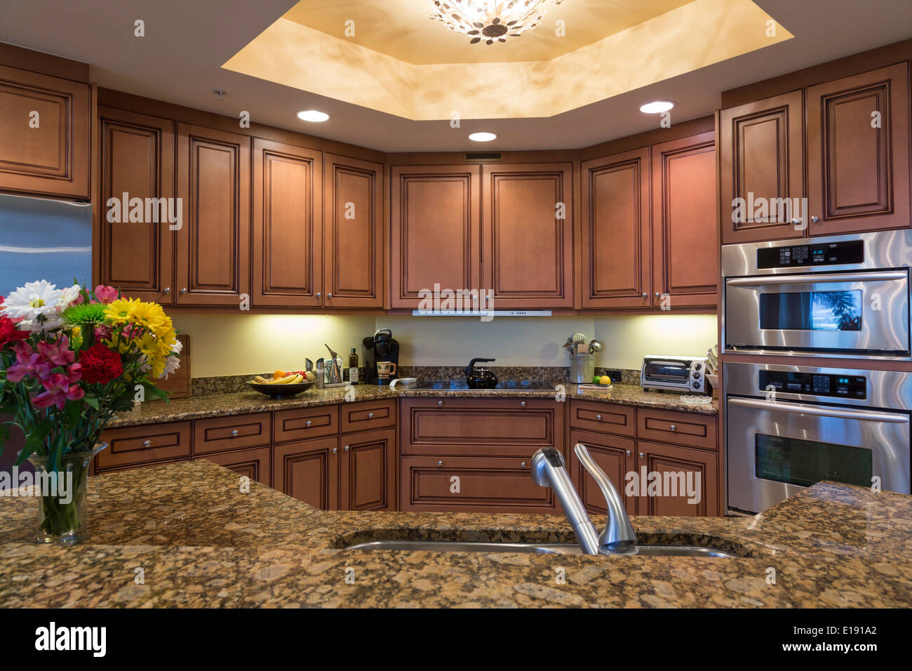 Showcase Kitchen with Upscale Designer Appointments Stock Photo