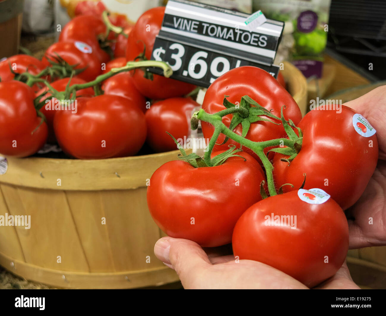 Vine Ripened Tomatoes, Produce Section, Gristedes Grocery Store, NYC