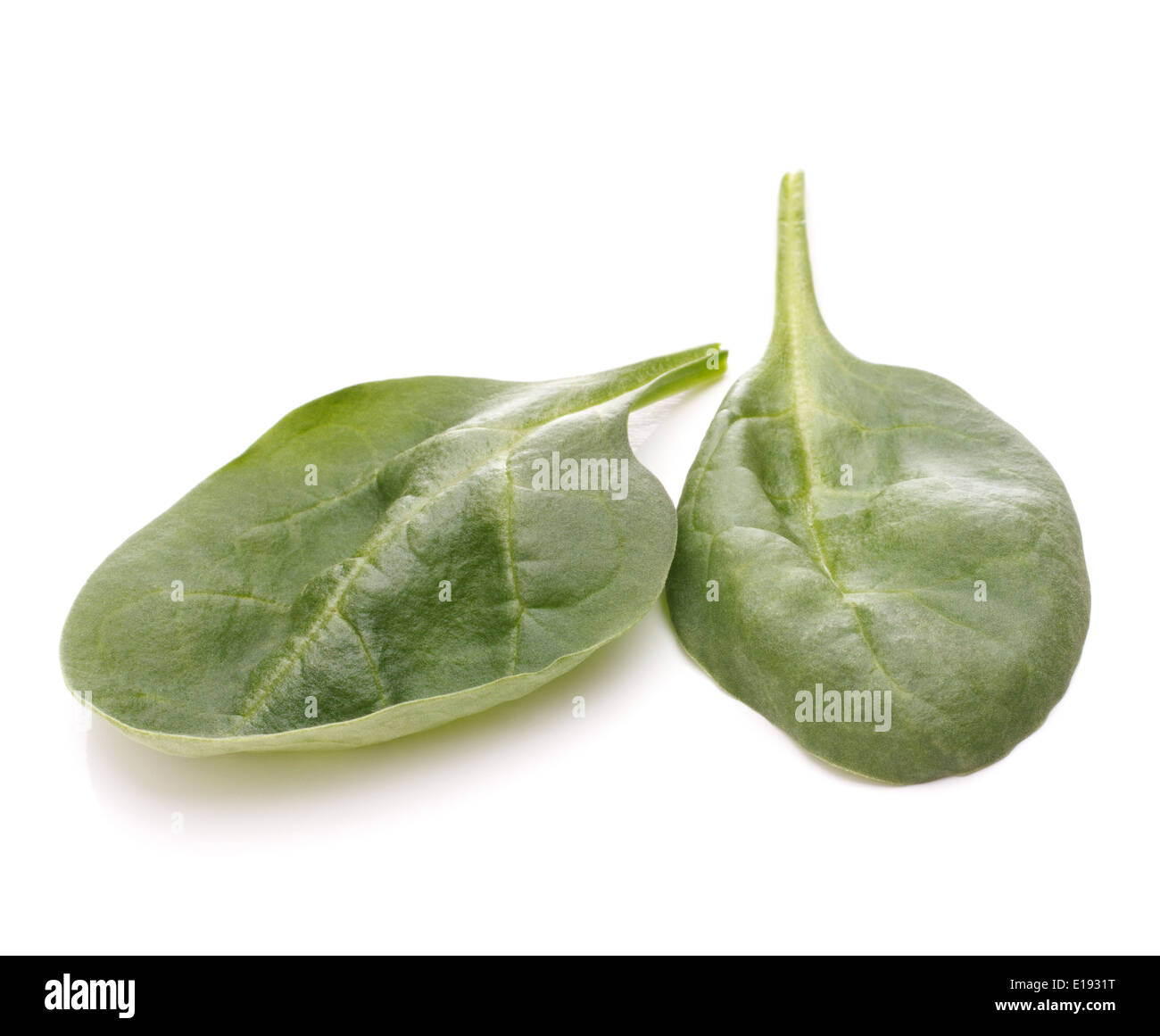 Spinach vegetables isolated on white background cutout Stock Photo - Alamy