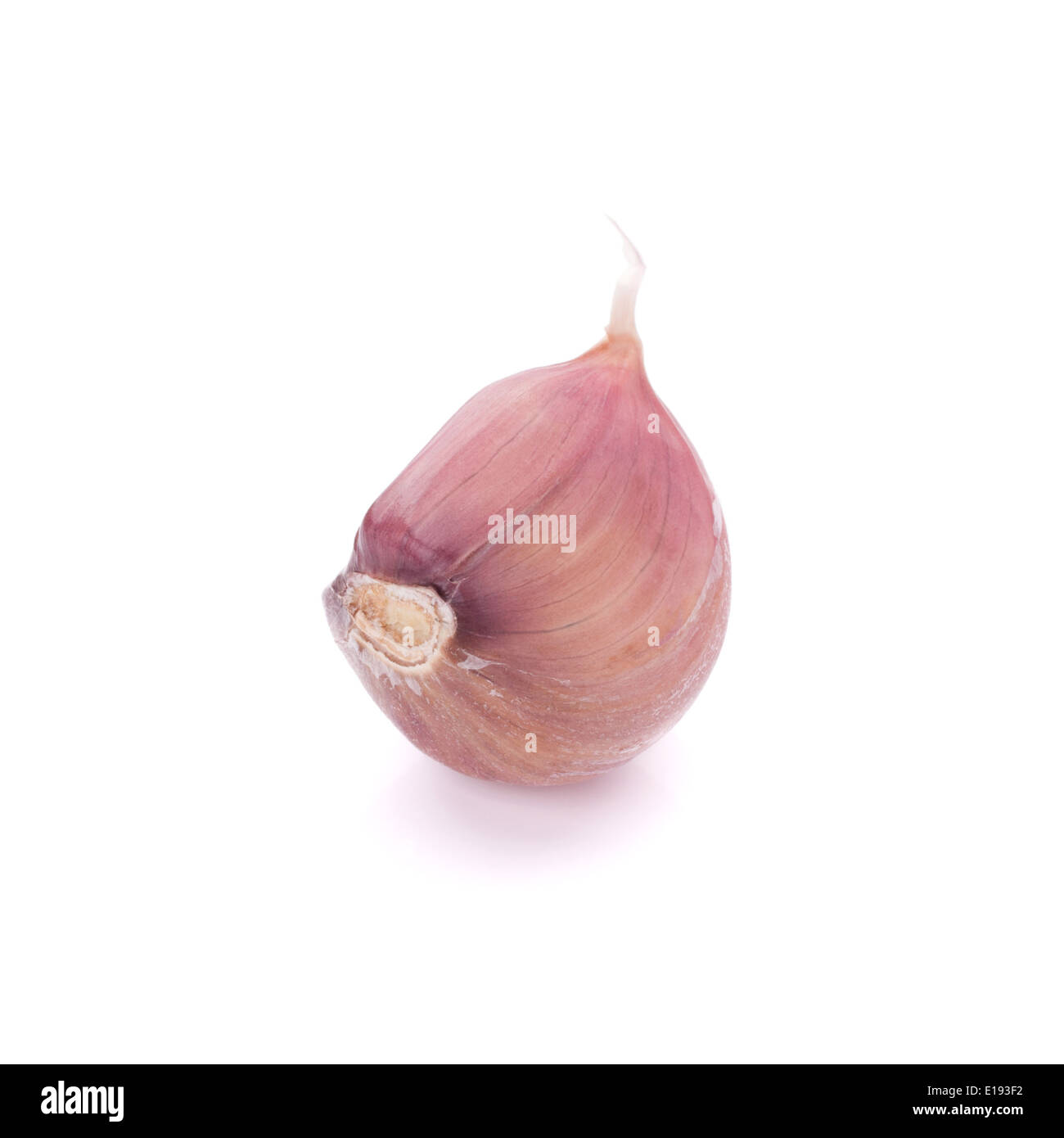 Garlic clove isolated on white background cutout Stock Photo - Alamy