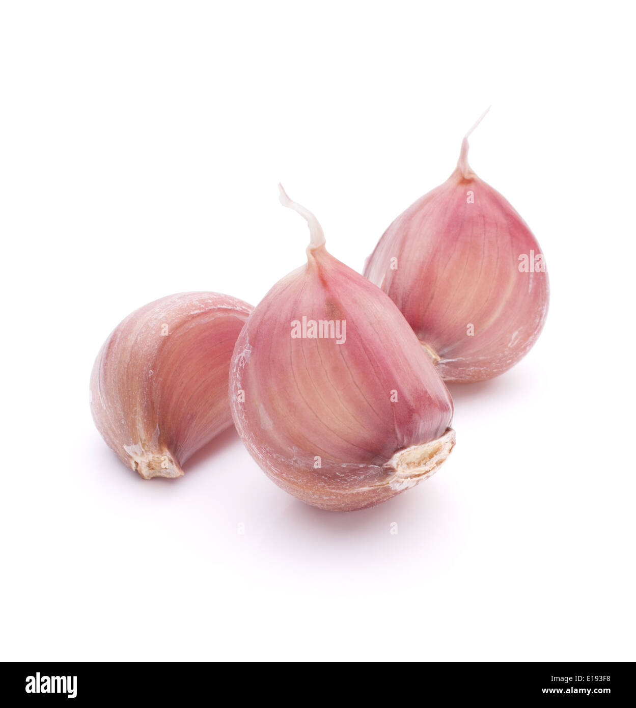Garlic clove isolated on white background cutout Stock Photo - Alamy