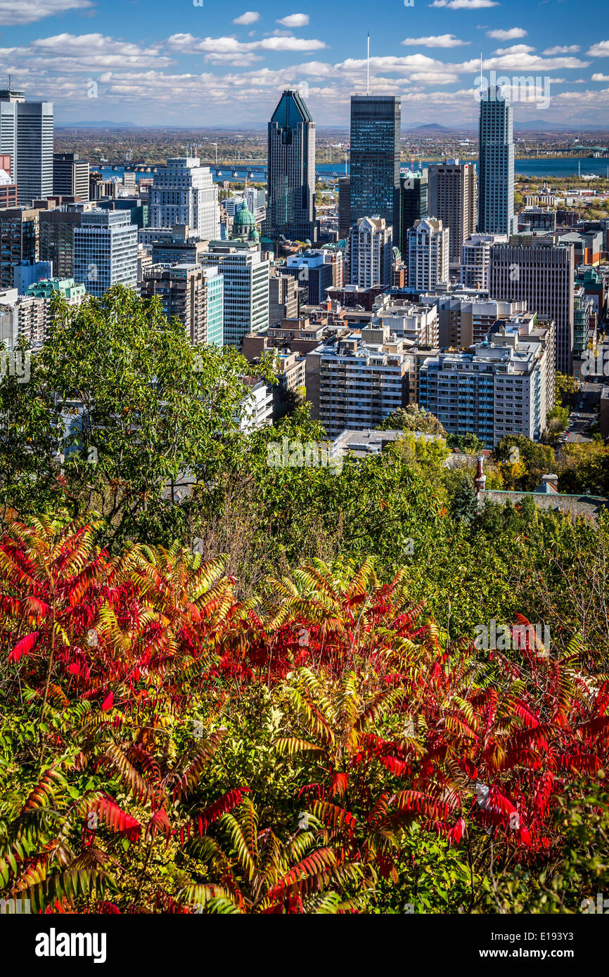 The city skyline with fall foliage color from Mount Royal Park in