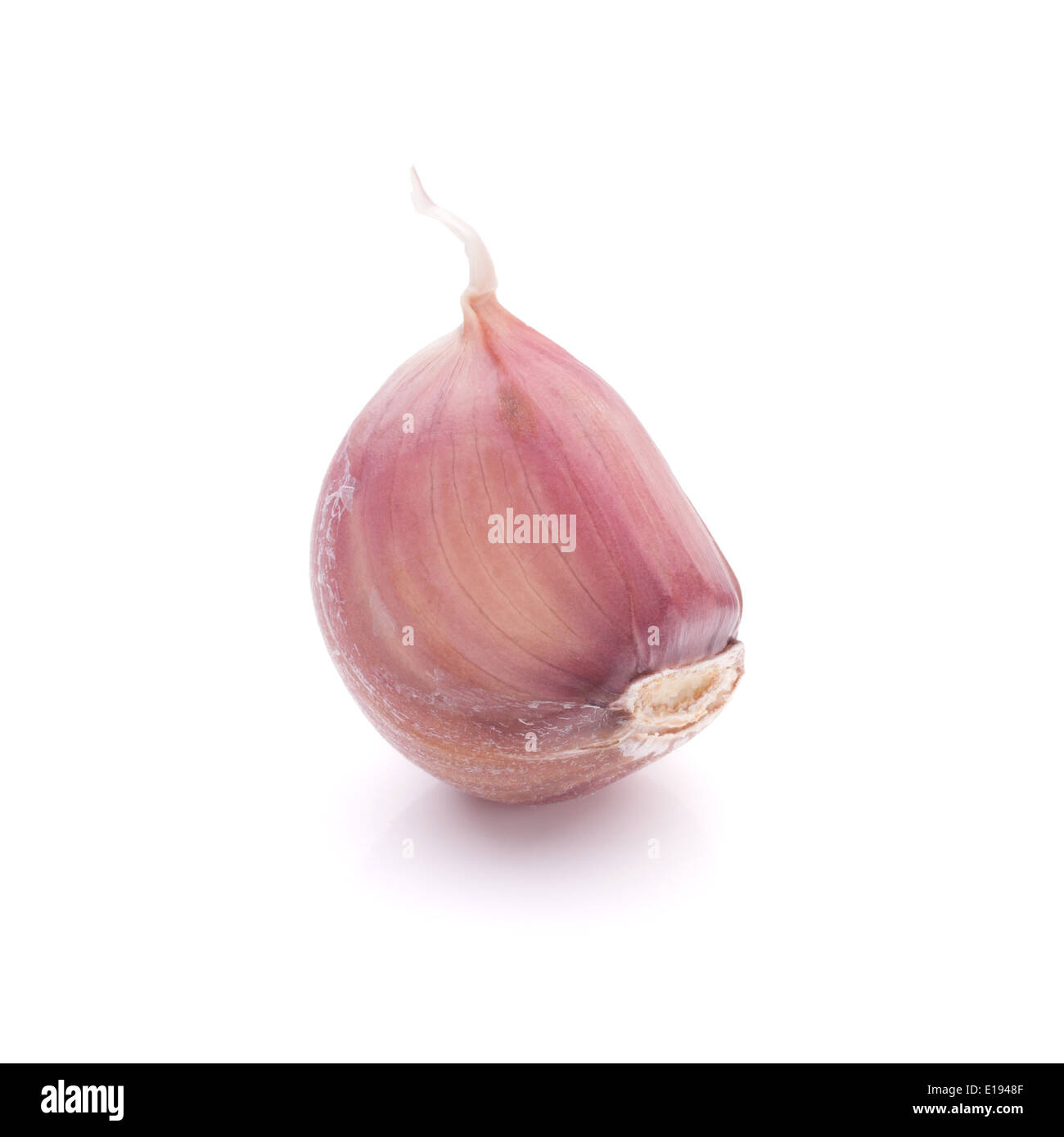 Garlic clove isolated on white background cutout Stock Photo - Alamy