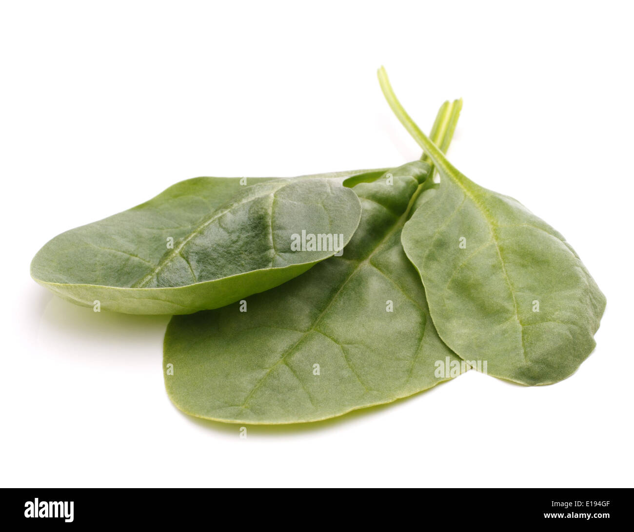 Spinach vegetables isolated on white background cutout Stock Photo - Alamy