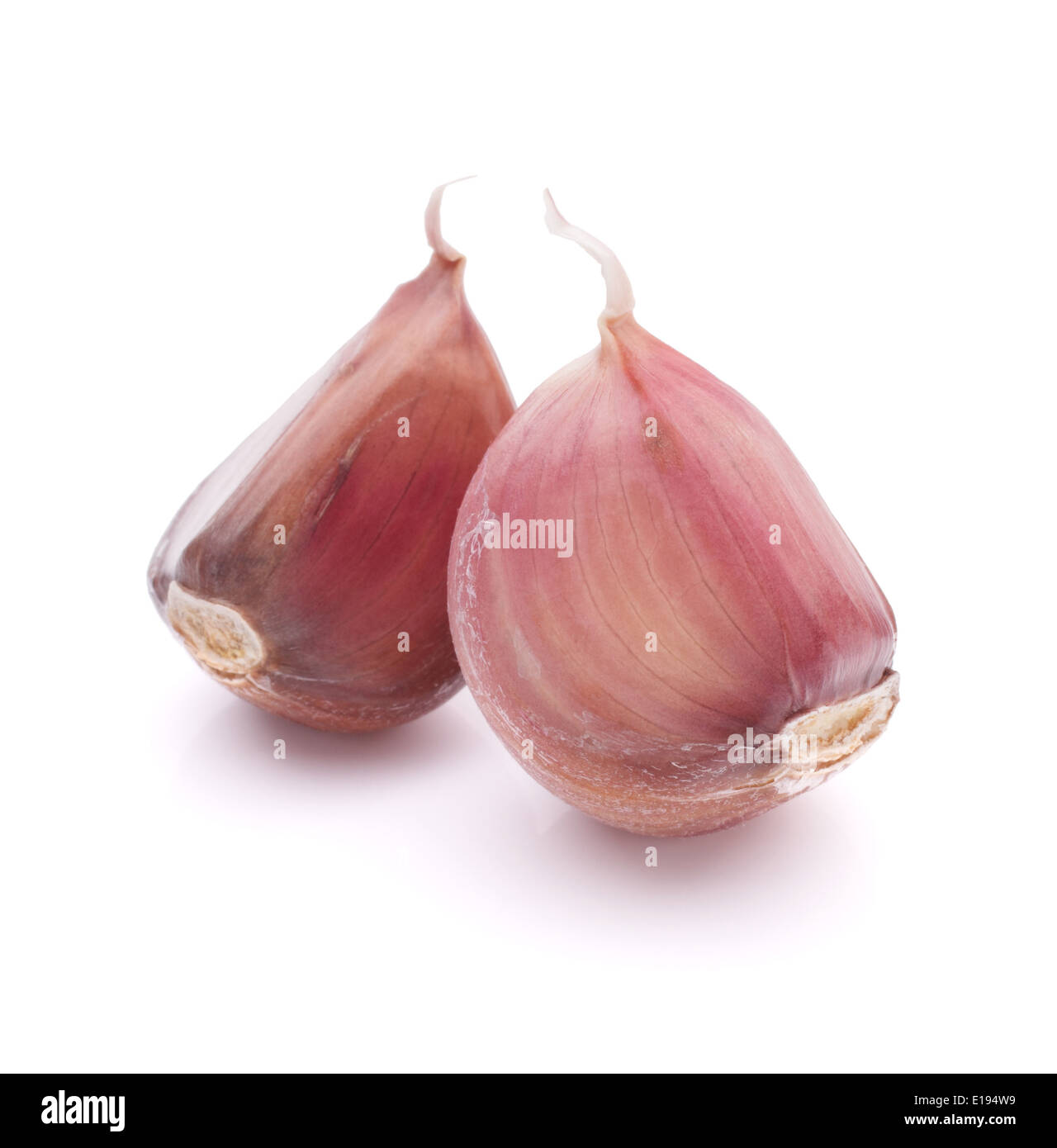 Garlic clove isolated on white background cutout Stock Photo - Alamy