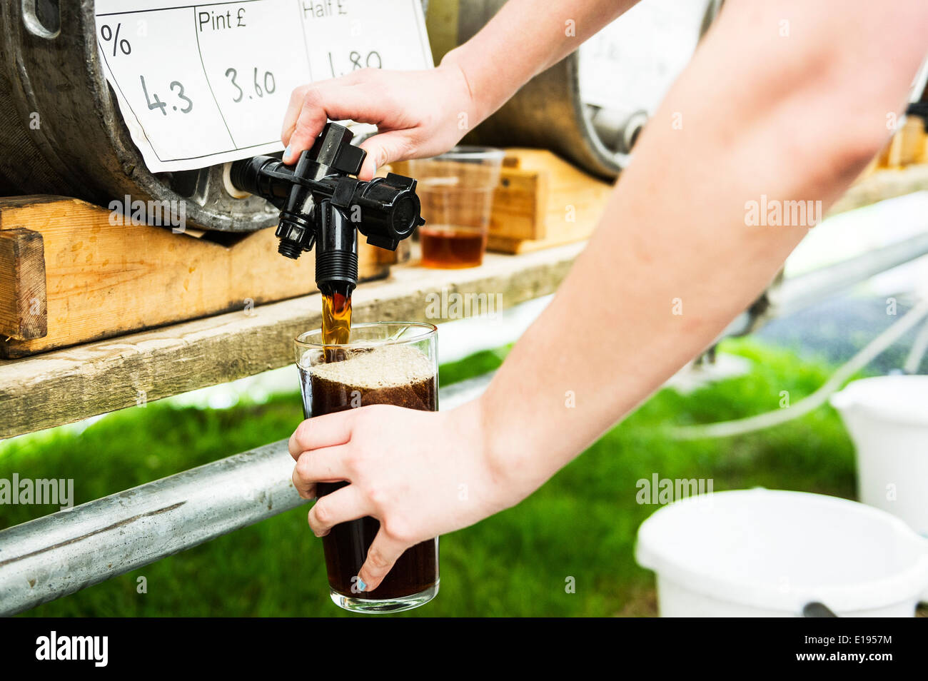 A pint of real ale being poured. Stock Photo