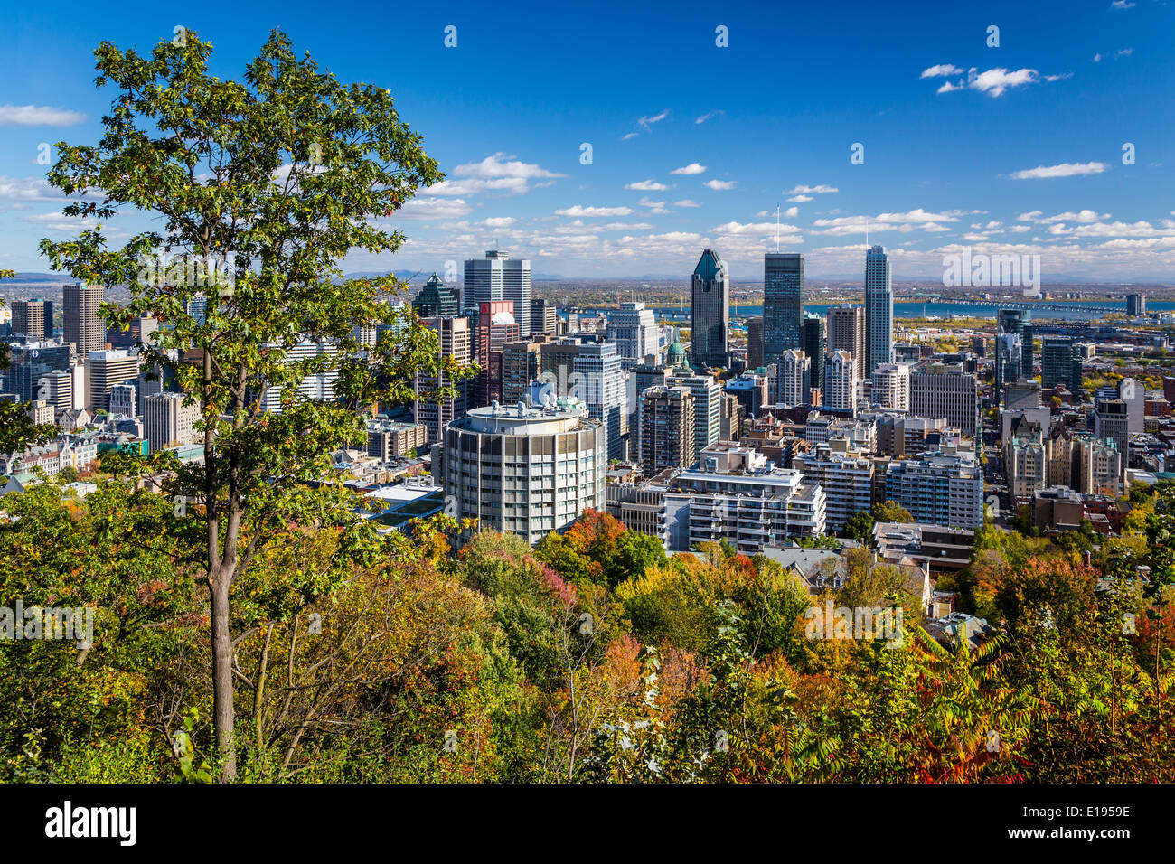 The city skyline with fall foliage color from Mount Royal Park in