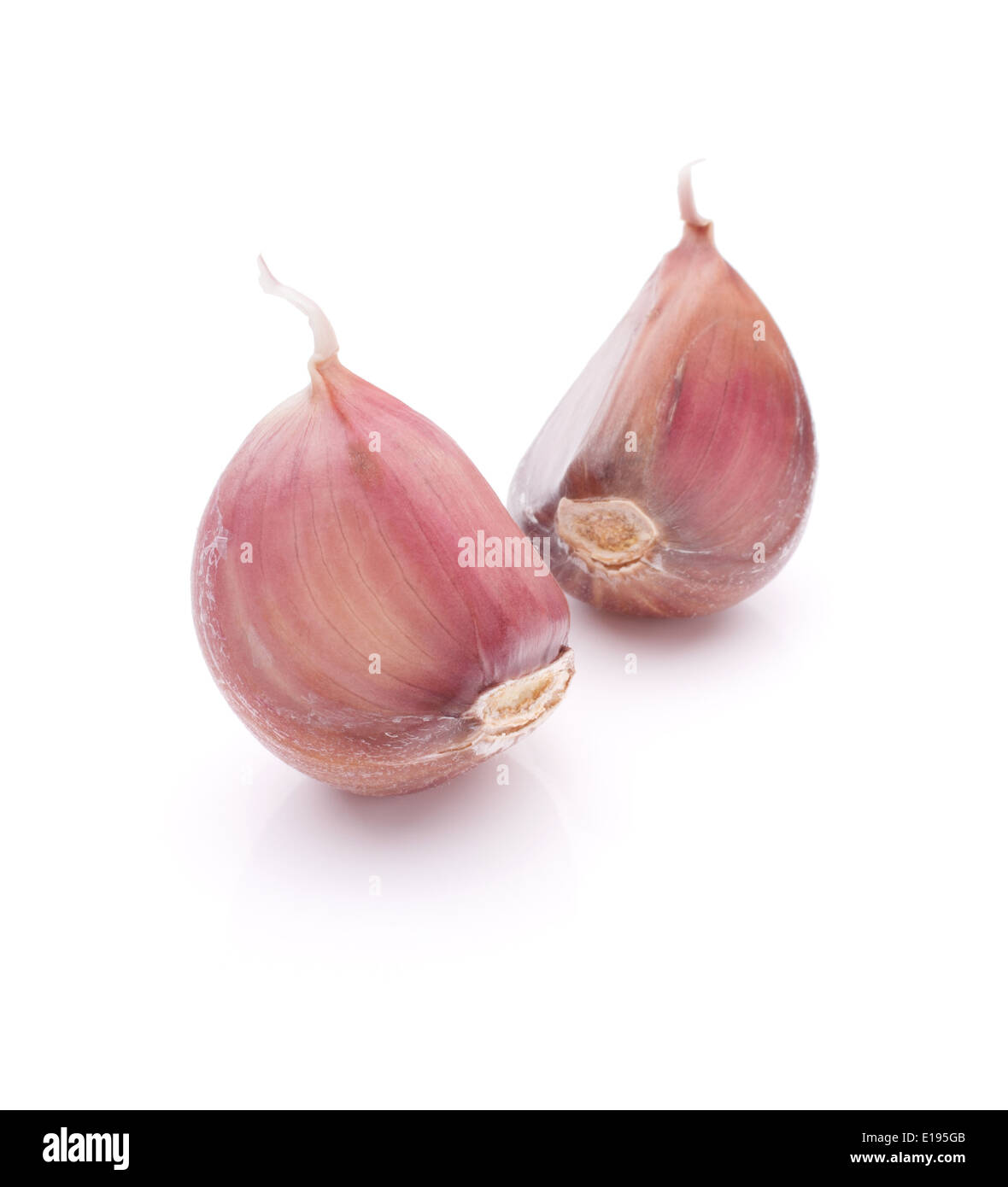Garlic clove isolated on white background cutout Stock Photo - Alamy