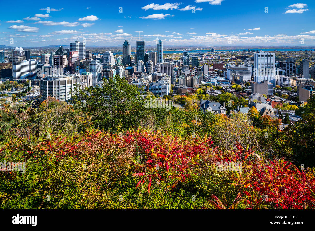 The city skyline with fall foliage color from Mount Royal Park in