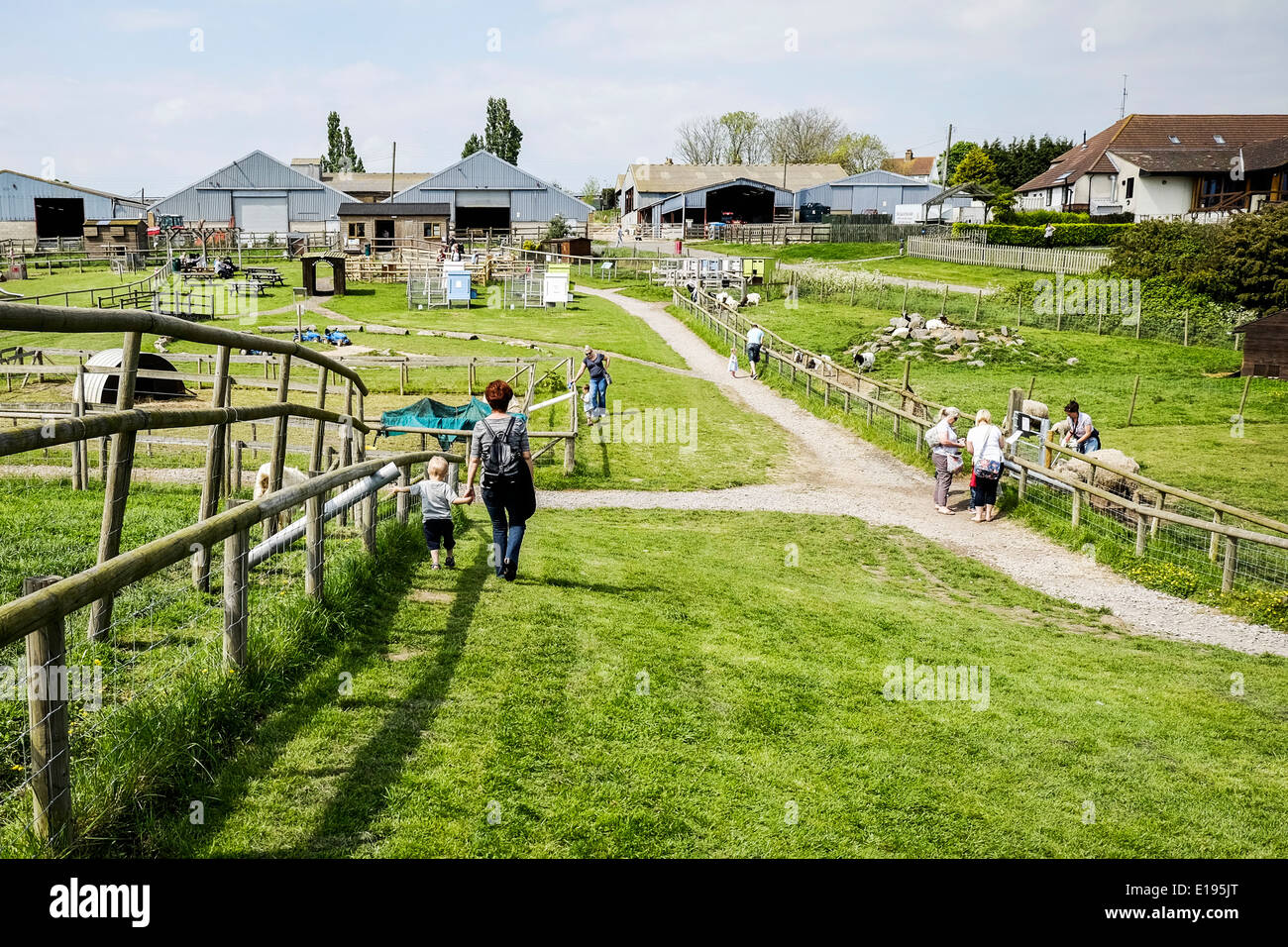 The Hadleigh Childrens Farm in Essex. Stock Photo