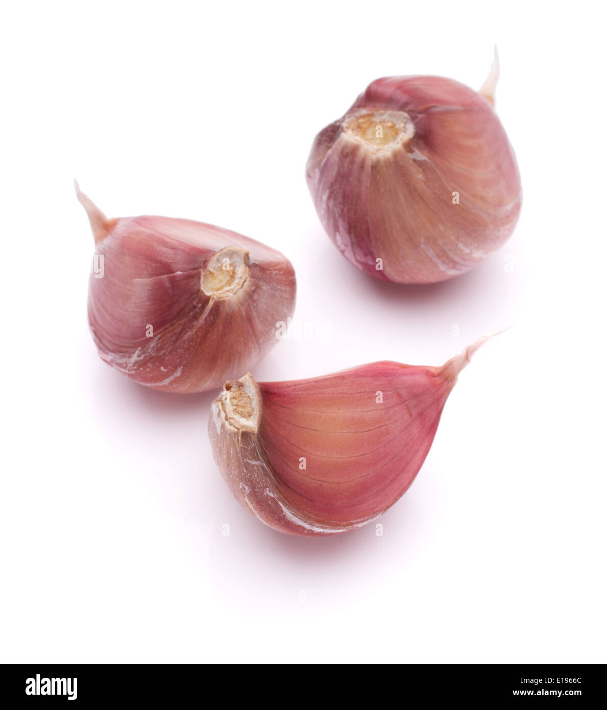 Garlic clove isolated on white background cutout Stock Photo - Alamy