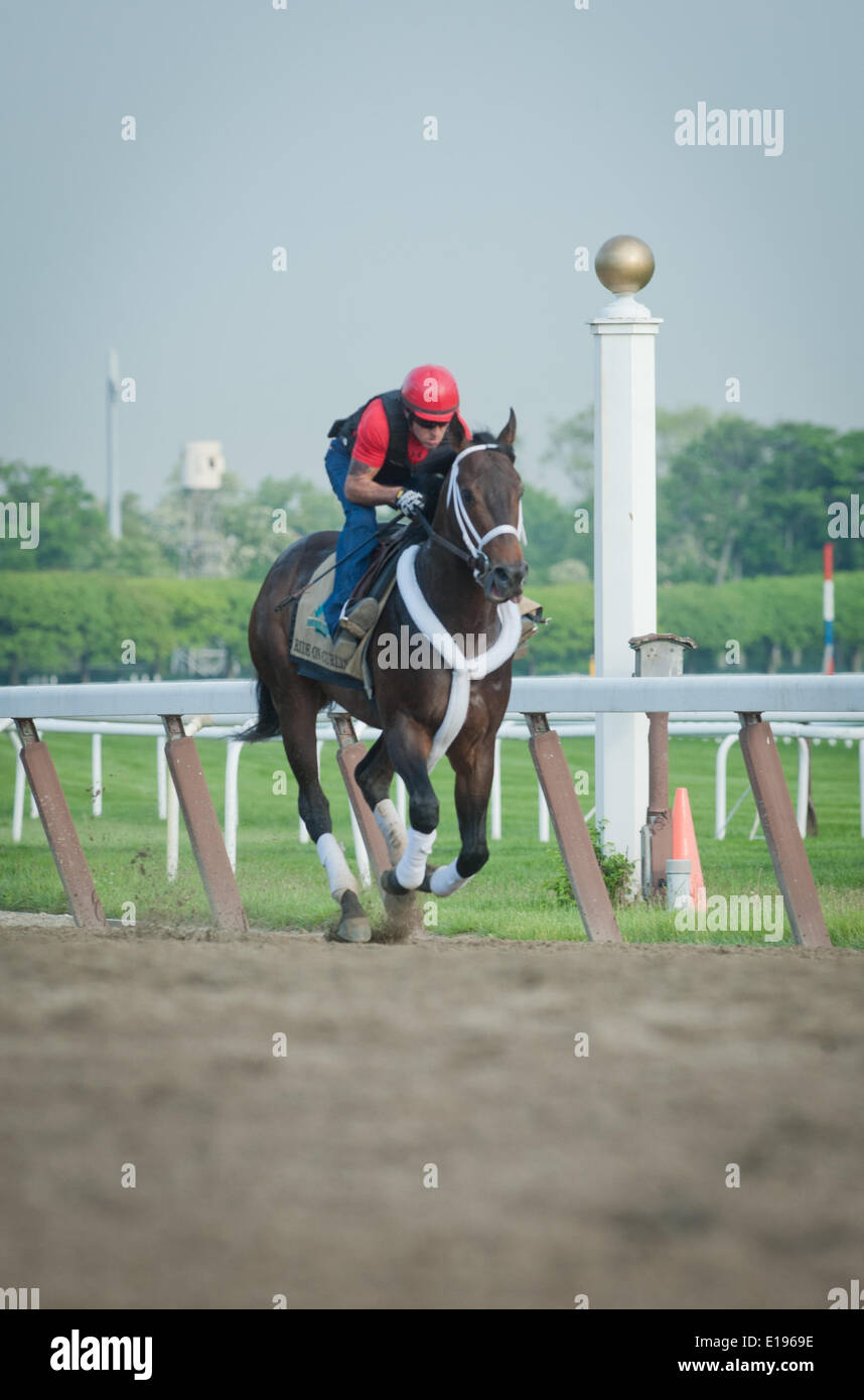 Elmont, New York, USA. 27th May, 2014. Belmont Stakes hopeful RIDE ON CURLIN with exercise rider BRYAN BACCIA up gallops over the main track at Belmont Park, Tuesday, May 27, 2014. Credit:  Bryan Smith/ZUMAPRESS.com/Alamy Live News Stock Photo