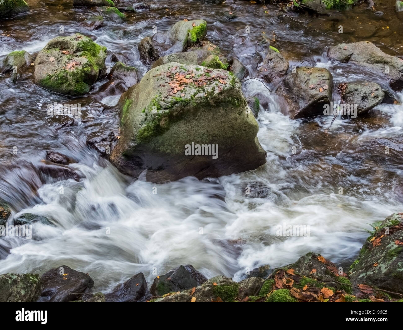 Ein Bach mit Steinen und fliessendem Wasser. Landschaft erleben in der Natur. Stock Photo