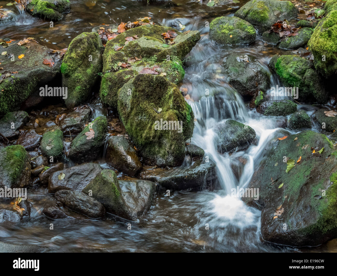 Ein Bach mit Steinen und fliessendem Wasser. Landschaft erleben in der Natur. Stock Photo
