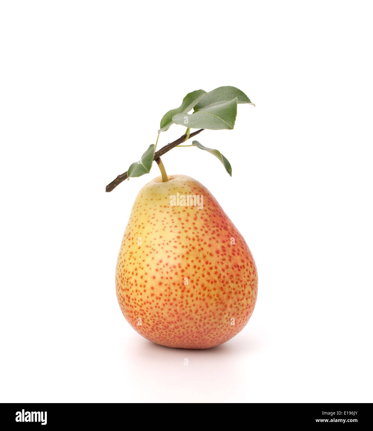 Pear isolated on white background Stock Photo - Alamy