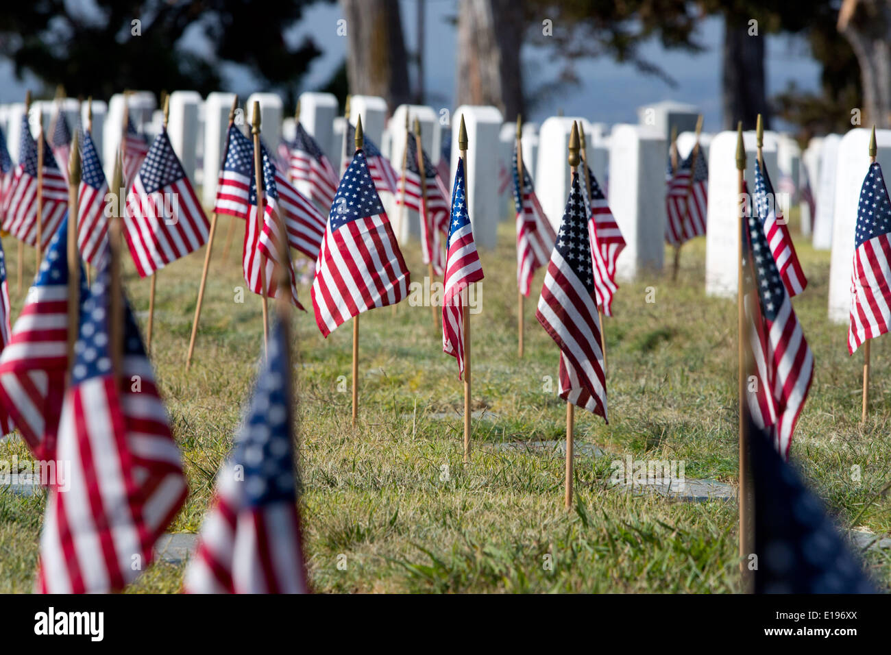On Memorial Day tiny American flags are placed at each grave at Fort ...