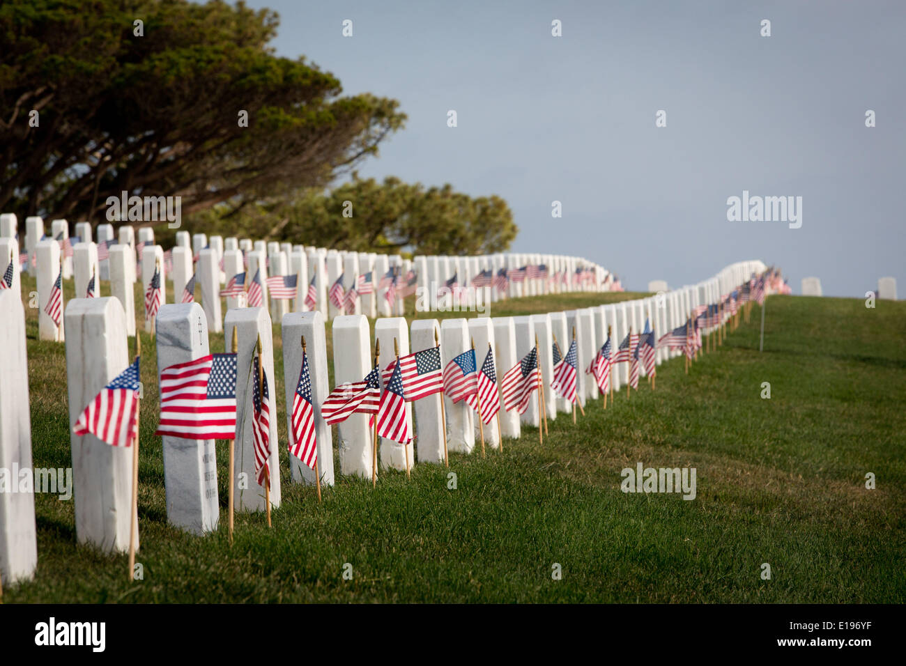On Memorial Day tiny American flags are placed at each grave at Fort ...
