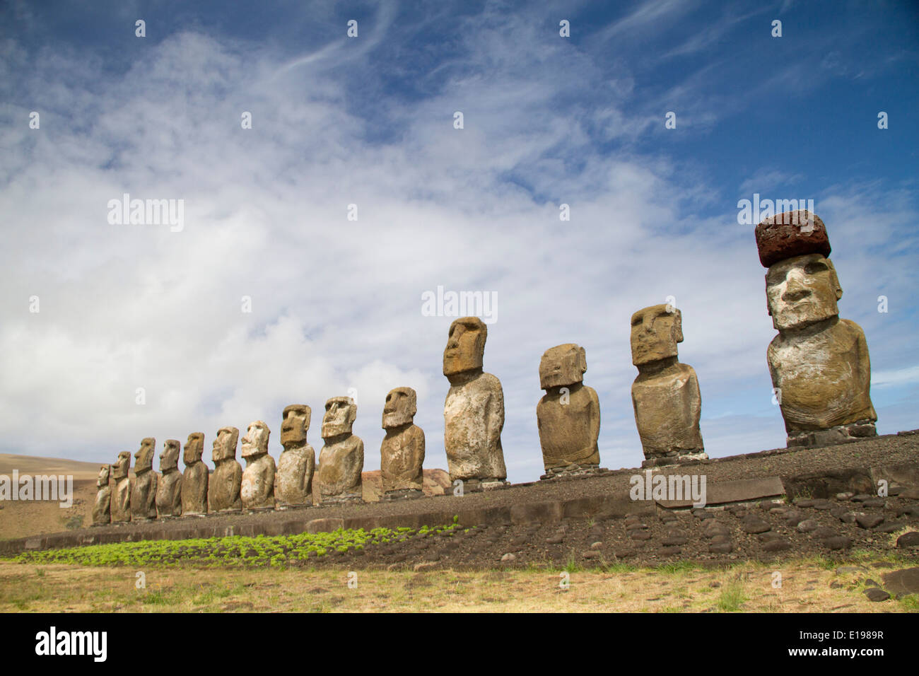 Fourteen statues called moai on a rock platform called abu, one of