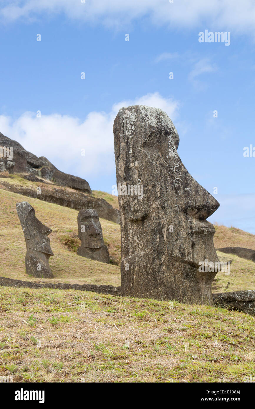 Statues called moai carved from volcanic tuff rock at the quarry on the