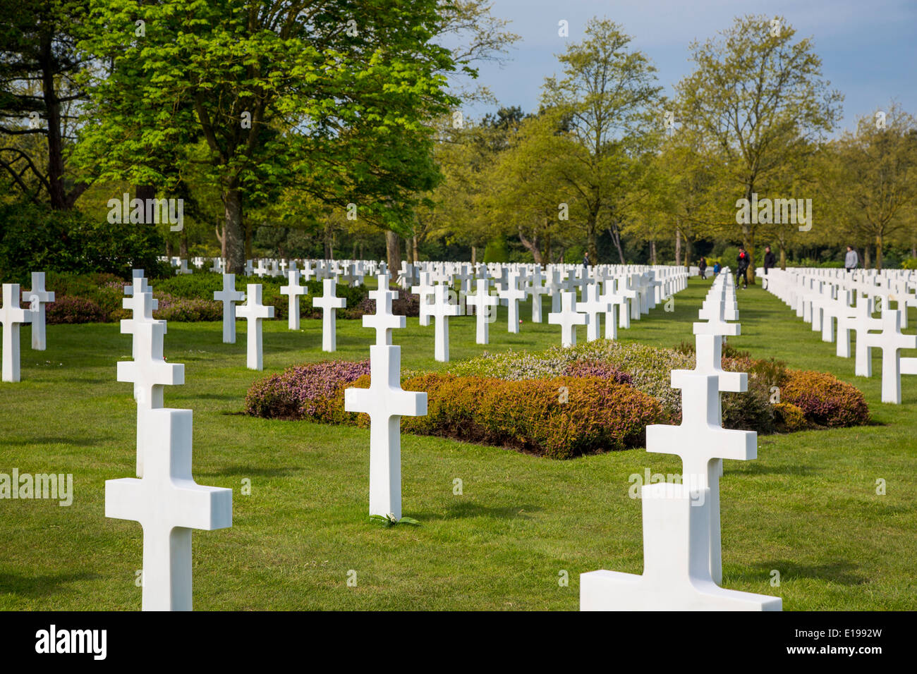 Perfectly placed crosses at the American Cemetery, Colleville-sur-Mer, Normandy, France Stock Photo