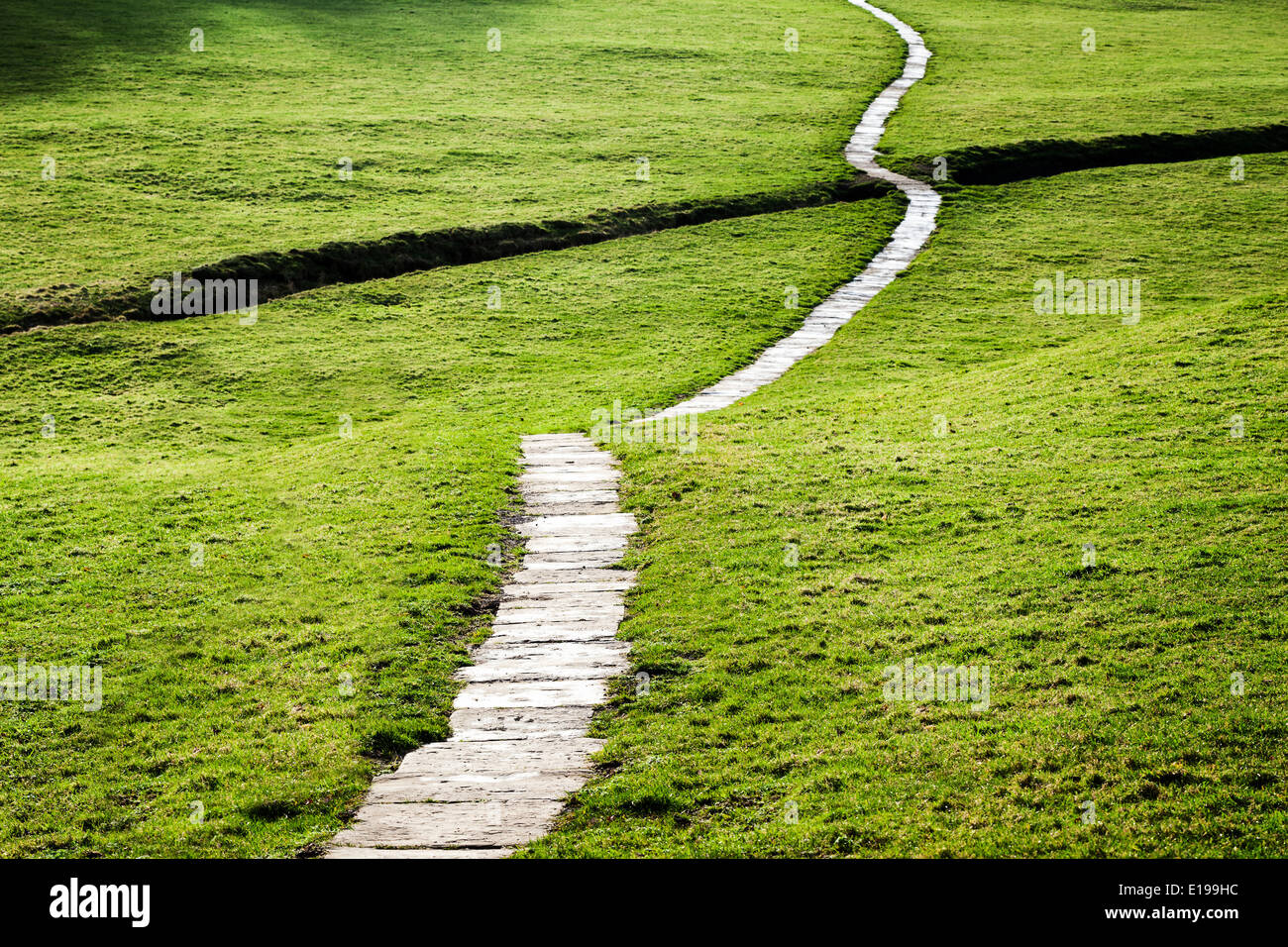 A long flagstone pathway snaking through a grassy field in the Yorkshire Dales, England, UK. Stock Photo