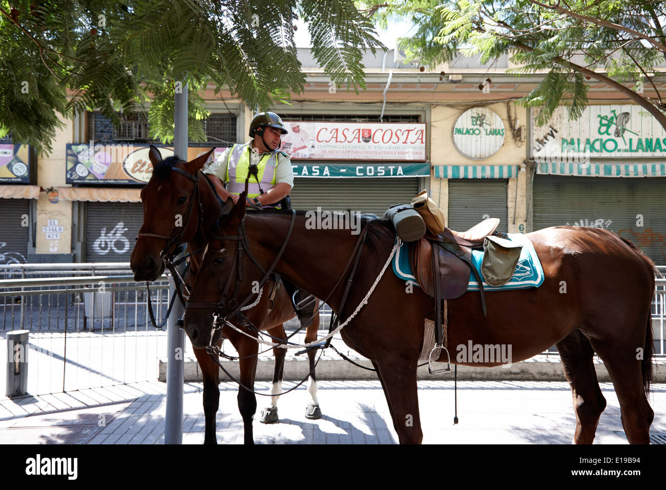 police officer on horseback carabineros de chile national police ...
