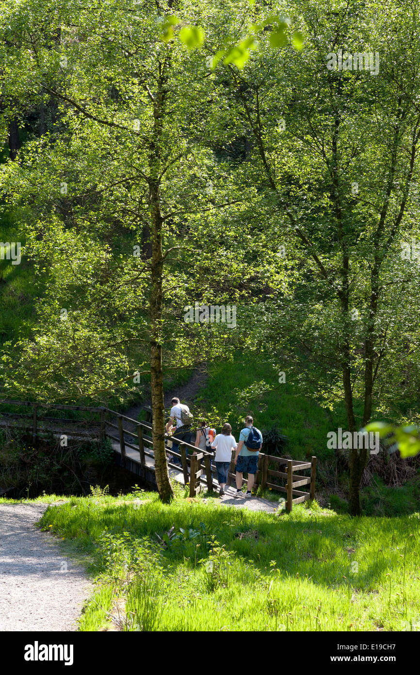 Family walking through the woods at Ogden Water, Halifax, West Yorkshire Stock Photo