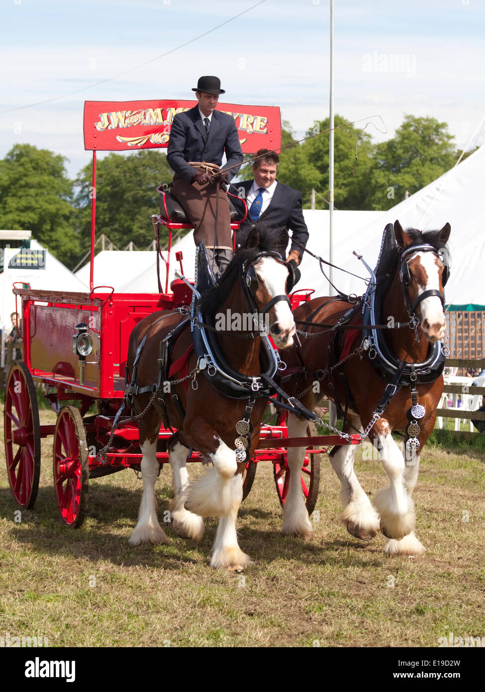 Stocksfield, England - May 26, 2014: An entrant in the pairs section of the Heavy Horses Turnout displaying in the main arena at the Northumberland County Agricultural Show at Bywell Hall, near Stocksfield, in North east England. Agriculture is an important part of the economy in the region and such events shows draw large numbers of visitors. Stock Photo