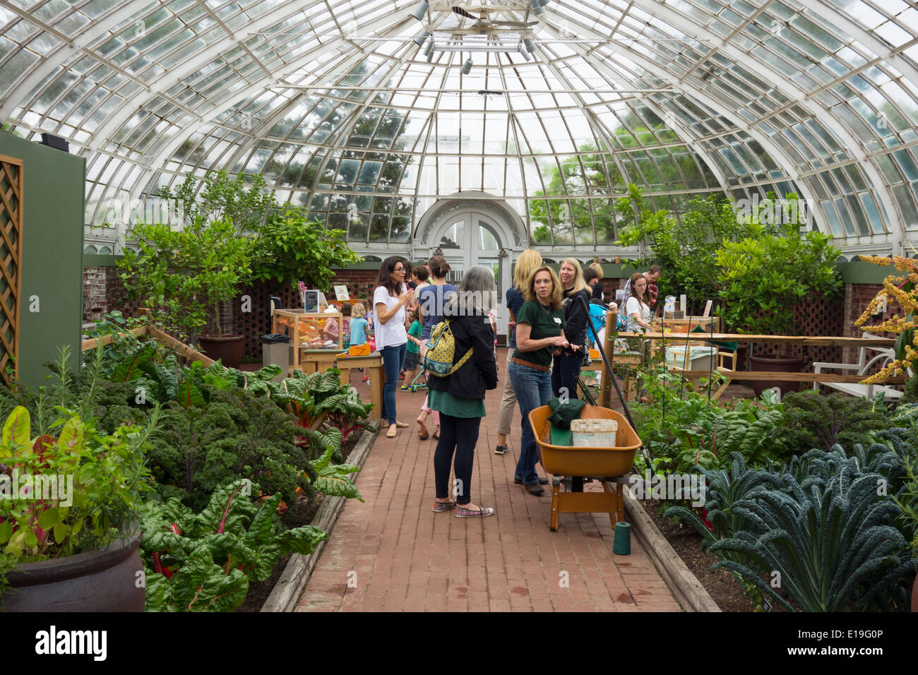 Phipps Conservatory And Botanical Garden In Pittsburgh Pa Stock