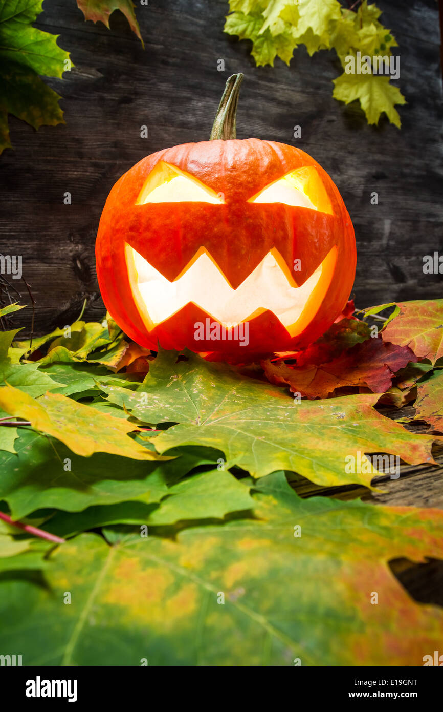Glowing pumpkin close up hi-res stock photography and images - Alamy